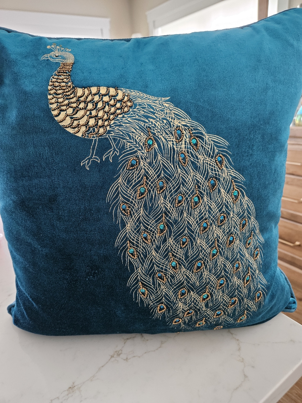 Pier 1 Teal Velvet Peacock Embroidered Accent Pillow
